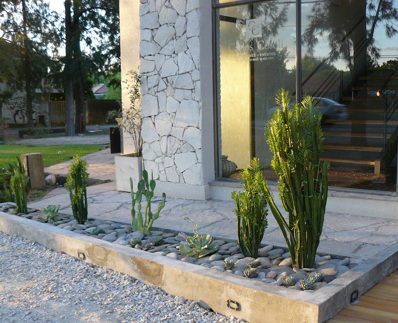 Jardines secos ¿Compatibles con plantas de otras latitudes? – Revista